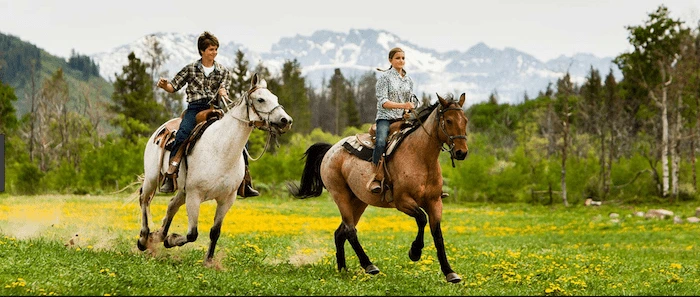 Confident plus-size woman riding Burton upon Trent a horse through a field with a smile on her face.